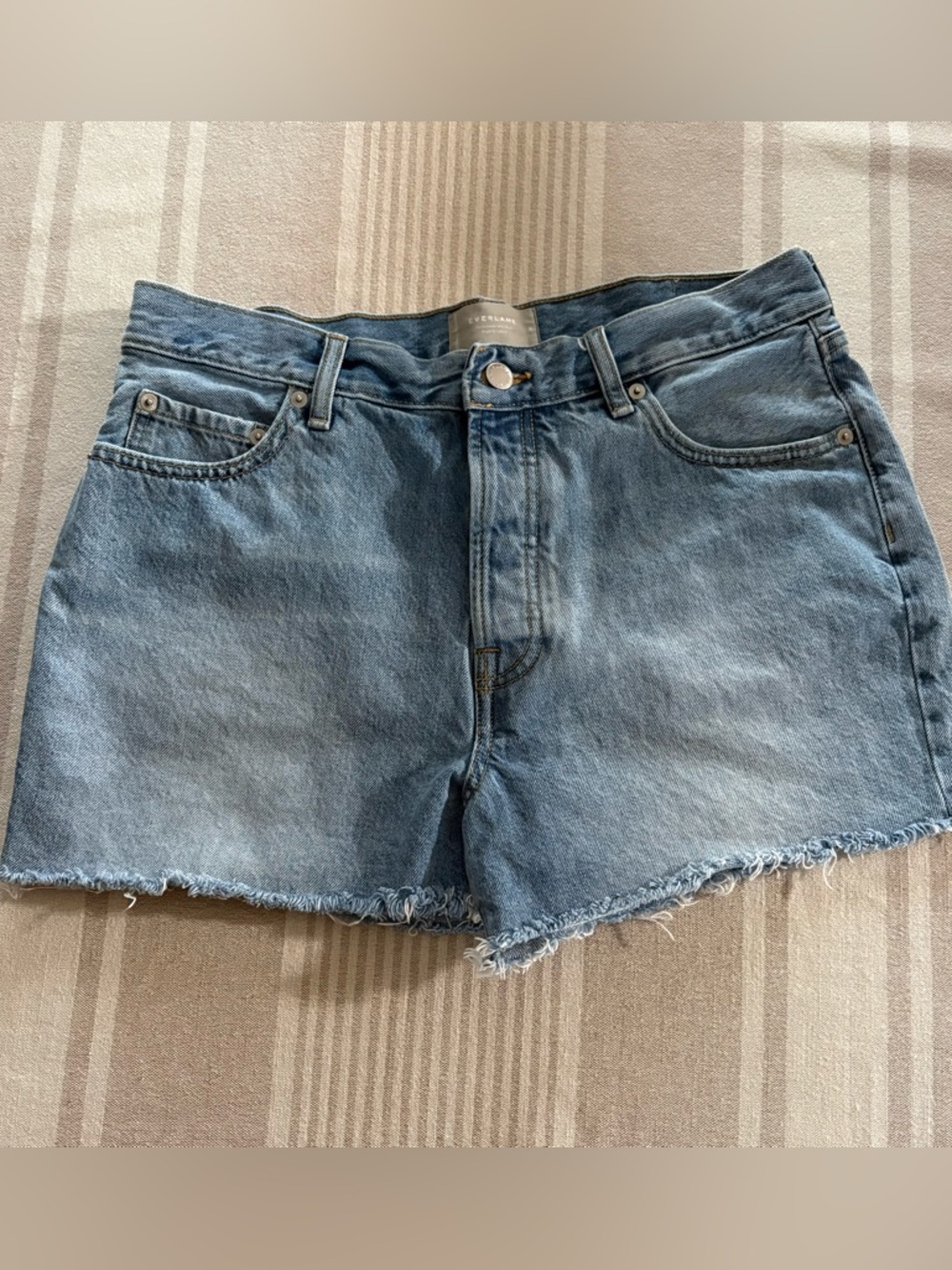 Everlane Organic Cotton Light Blue Denim   Shorts Women’s 8 - Relaxed 90’s Style